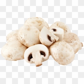 Mushroom Png File - Mushroom, Transparent Png - mashroom png