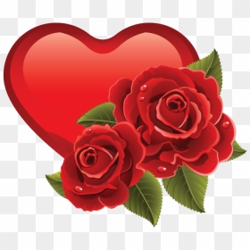 Sweet Memoriesred Roses Touch My Heartas Does Your - Beautiful Rose Photo Download, HD Png Download - red rose flower png