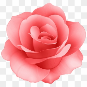 Free Png Red Rose Flower Png Images Transparent - Transparent Background Pink Flower Clipart, Png Download - red rose flower png