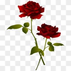 Rose Flowers Clipart, HD Png Download - red rose flower png