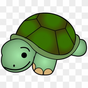 Cute Tortoise Panda Free - Clip Art For Animals, HD Png Download - tortoise clipart png