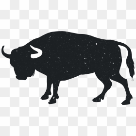 Angus Cattle Hereford Cattle Bull Drawing Clip Art - Bull Black Drawing, HD Png Download - indian bull png