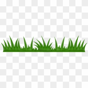 Grass - Agave Azul, HD Png Download - grash png