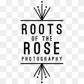 Roots Only Photo Letterhead Black - Graphics, HD Png Download - photography png images
