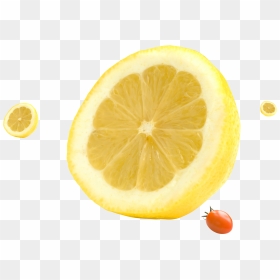 Lemon Orange Citrxf - Orange, HD Png Download - lemon png image