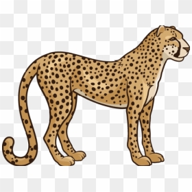 Realistic Clipart Cheetah - Cheetahs Clipart, HD Png Download - lion sitting png