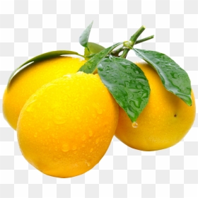 High Resolution Lemon, HD Png Download - lemon png image