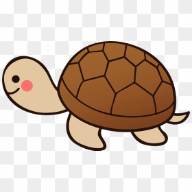 Turtle Animal Clipart - Coloring Book, HD Png Download - tortoise clipart png