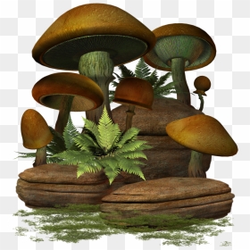 Mushroom, HD Png Download - mashroom png