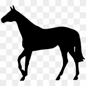 Horse Black Silhouette Do"s Amp Don"ts Silhouettes - Simple Horse Silhouette Png, Transparent Png - horse png hd