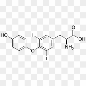 Structure Protein Biomolecule, HD Png Download - guruvayoorappan png