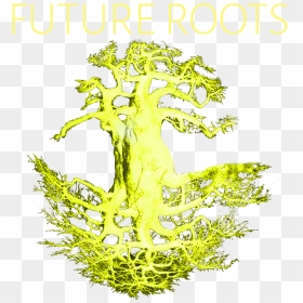 Tree, HD Png Download - froots png