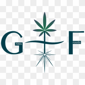 Graphic Design, HD Png Download - froots png