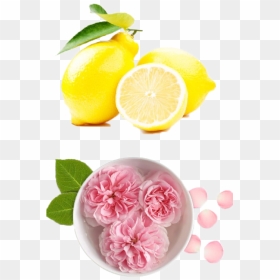 Rose Water And Sandalwood Paste, HD Png Download - lemon png image