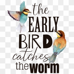 Early Bird Refrain Living Room Wall Decor - Bee Eater, HD Png Download - early bird png