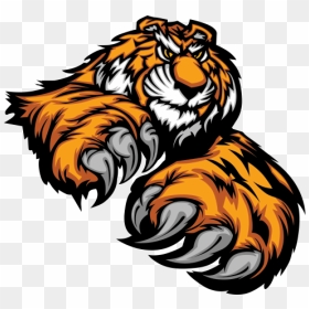 Tiger Attack - Vector Design Tiger Mascot, HD Png Download - attack png