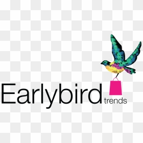 Perching Bird, HD Png Download - early bird png