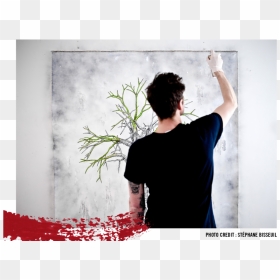 Ludo, HD Png Download - nature images in png format