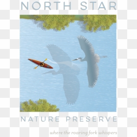 Nsnp Stacked Logo 3, HD Png Download - nature images in png format
