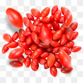 Plum Tomato, HD Png Download - froots png