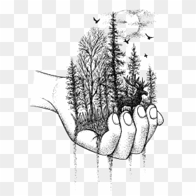 Handful Of Nature, HD Png Download - nature images in png format