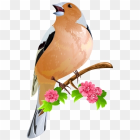 Bird On The Flowering Branch Icon Font, Print Fonts, - Singing Bird Png, Transparent Png - branch icon png