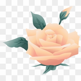 Wedding, Flower, Symbol, Rose, Nature, Floral - May I Never Forget That On My Best Day, HD Png Download - flower symbol png