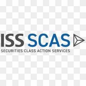 A Look Back At 2019 And What’s Ahead In - Iss Governance, HD Png Download - iss png