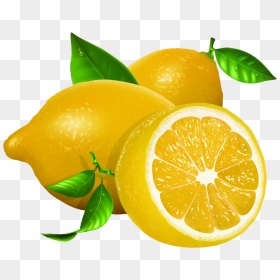 Lemon Euclidean Vector Clip Art - Transparent Background Lemon Png, Png ...