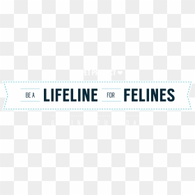 Number, HD Png Download - lifeline png