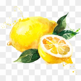 Watercolor Painting Royalty Free - Cartoon Transparent Lemon Png, Png Download - lemon vector png