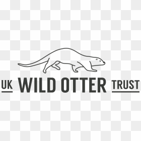 Uk Wild Otter Trust, HD Png Download - trust badge png