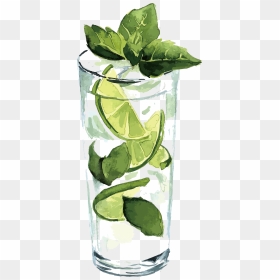 Transparent Green Juice Png - Watercolor Lime Drink, Png Download - lemon vector png