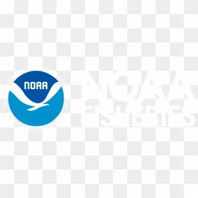 Happy Fathers Day Pizza , Png Download - Circle, Transparent Png - noaa logo png