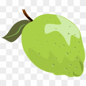 Lime Tree Clipart Vector Transparent Stock Guava Lime - Guava Cartoon Png, Png Download - lemon vector png