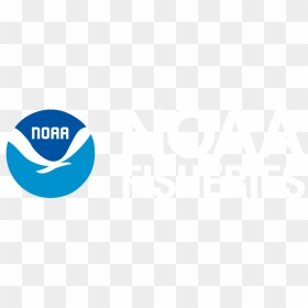 Circle, HD Png Download - noaa logo png