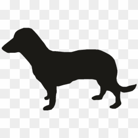 Miniature Dachshund Puppy Vector Graphics Dog Breed - Modern Dog Silhouette Vector, HD Png Download - weiner dog png