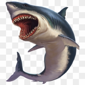 Great White Shark Full Body, HD Png Download - left shark png