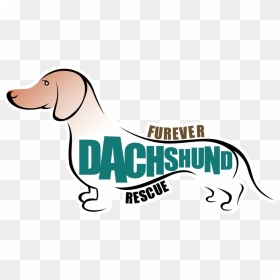 Transparent Weiner Dog Clipart - Scent Hound, HD Png Download - weiner dog png