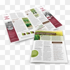 Flyer, HD Png Download - monsanto logo png