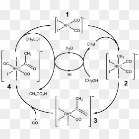 Monsanto Process Ru - Monsanto Process Catalytic Cycle, HD Png Download ...