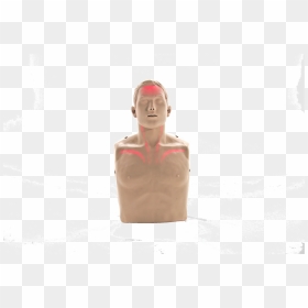 Bigred™ Cpr Manikin With Led Light Cpr Feedback - Figurine, HD Png Download - cpr png