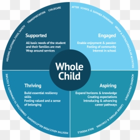 Whole Child Framework - Circle, HD Png Download - hestia png