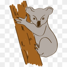 Transparent Koalas Clipart - Australian Animals Cartoon Png, Png Download - dibujos png