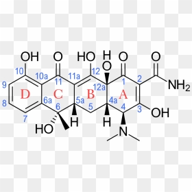 Doxycycline Functional Groups, HD Png Download - antibiotics png