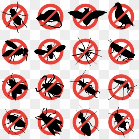 Vector And Rodent Control, HD Png Download - business plan png