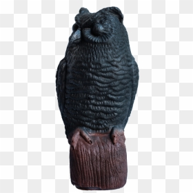 Owl, HD Png Download - buho png