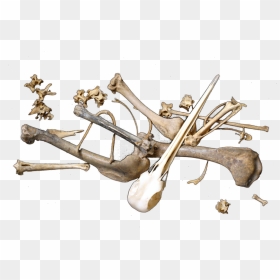 Scattered Bones Png, Transparent Png - bones.png