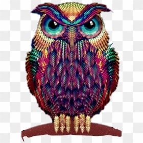 #buho #tribal #hipster #buhokawaii - Phone Wallpaper Hd Owl, HD Png Download - buho png