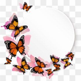 Transparent Background Monarch Butterfly Clipart, HD Png Download - butterfly border png